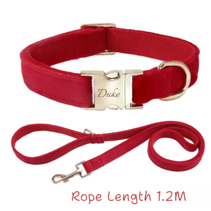 Pet Collar