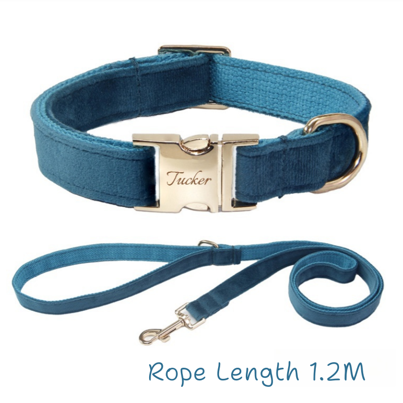Pet Collar
