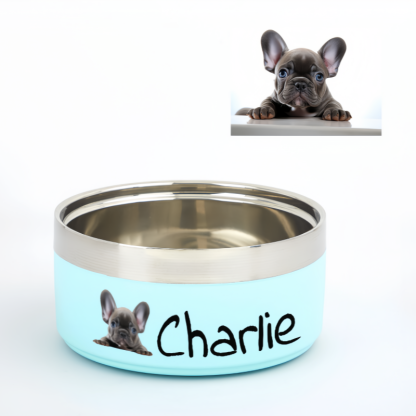 pet bowl