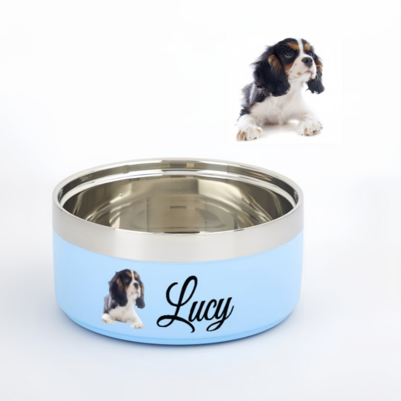 pet bowl