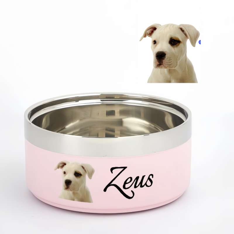 pet bowl