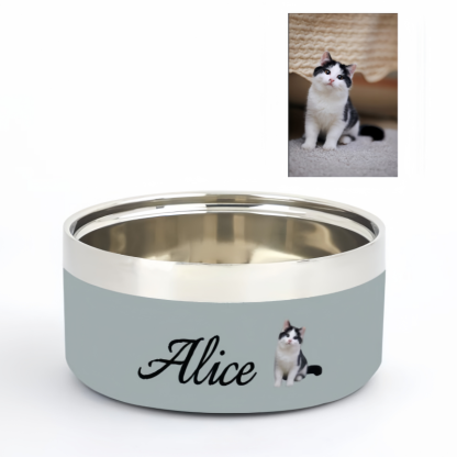 pet bowl