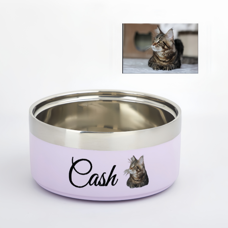 pet bowl