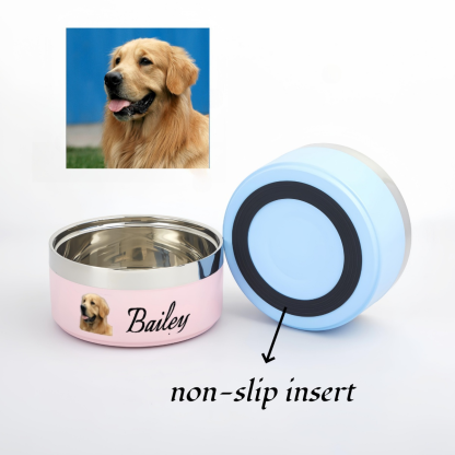 pet bowl