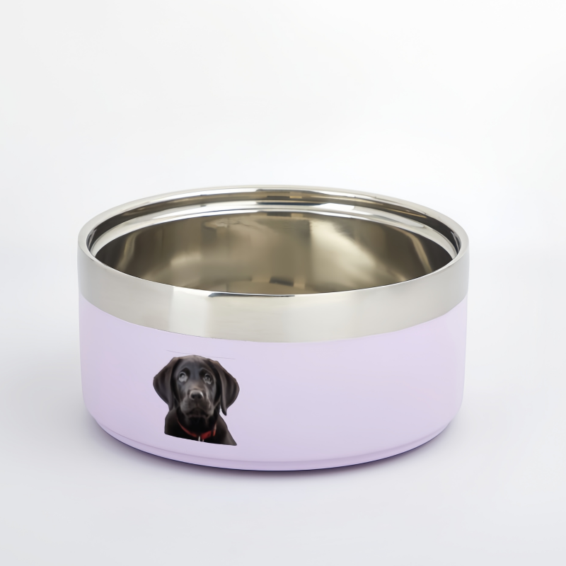 pet bowl
