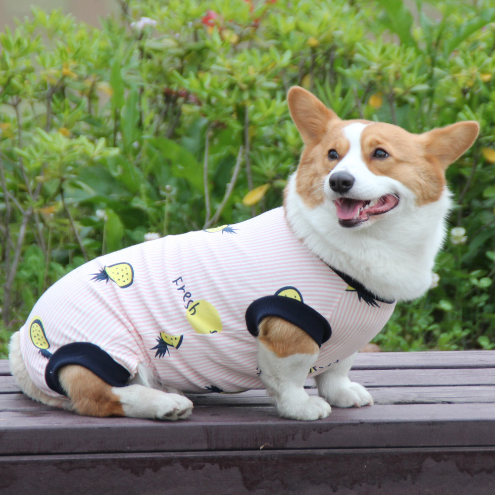 Cute Dog Clothes Summer Thin Cotton Vest for Pets - Breathable Design Suitable for Corgis Teddys and Other Dog Breeds