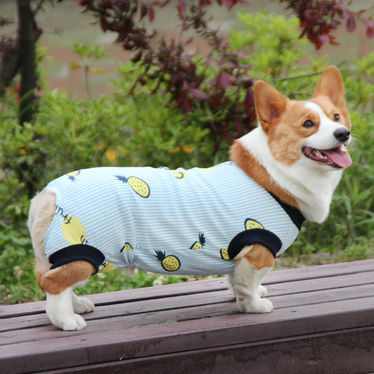 Cute Dog Clothes Summer Thin Cotton Vest for Pets - Breathable Design Suitable for Corgis Teddys and Other Dog Breeds