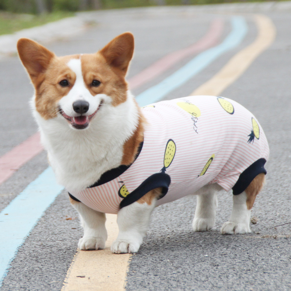 Cute Dog Clothes Summer Thin Cotton Vest for Pets - Breathable Design Suitable for Corgis Teddys and Other Dog Breeds