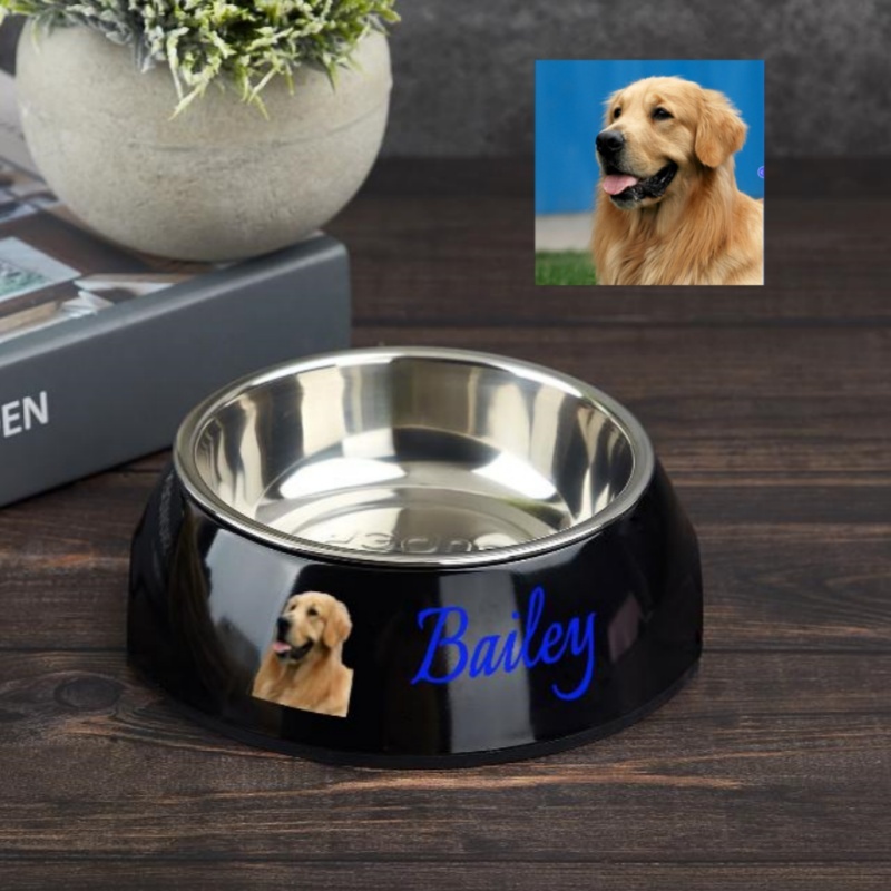 pet bowl