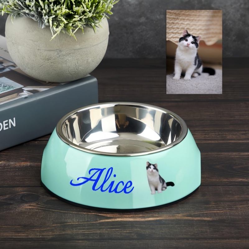 pet bowl