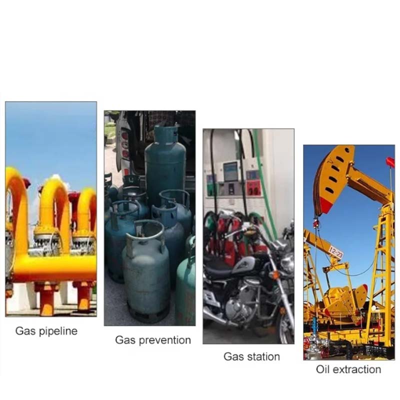 Φορητός ανιχνευτής διαρροής εύφλεκτου αερίου τύπου στυλό