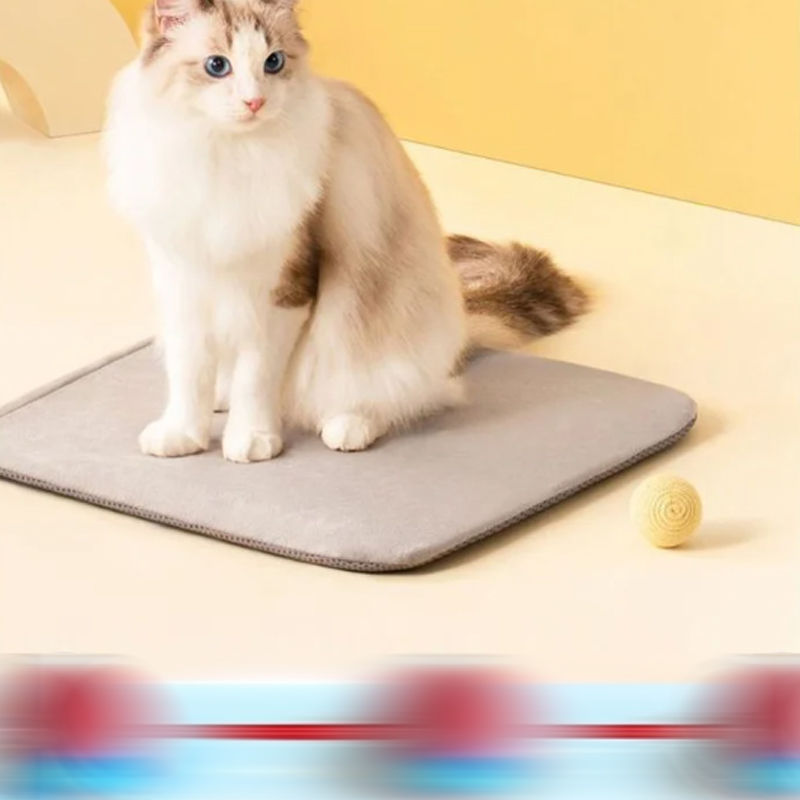 Διαδραστική μπάλα παιχνιδιών για γάτες με προσομοίωση ήχων πουλιών