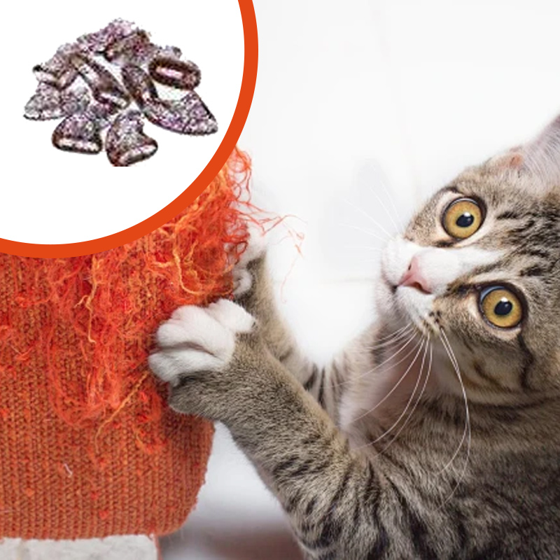 🐱Καπάκια νυχιών κατοικίδιων για σκύλους και γάτες με κόλλα