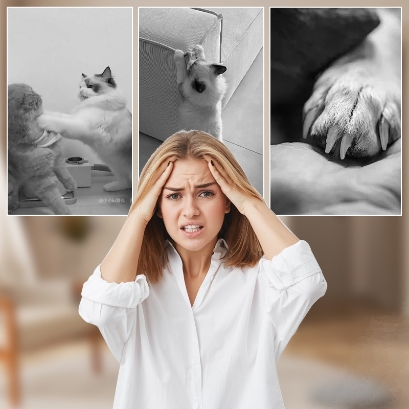 🐱Καπάκια νυχιών κατοικίδιων για σκύλους και γάτες με κόλλα