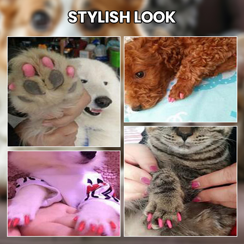 🐱Καπάκια νυχιών κατοικίδιων για σκύλους και γάτες με κόλλα