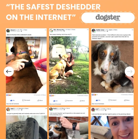 🐶🪮Πολυλειτουργική χτένα ξεμπερδέματος και περιποίησης τριχών κατοικίδιων