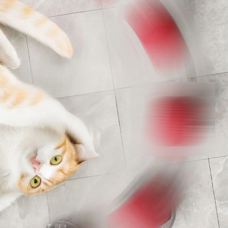 Διαδραστική μπάλα παιχνιδιών για γάτες με προσομοίωση ήχων πουλιών