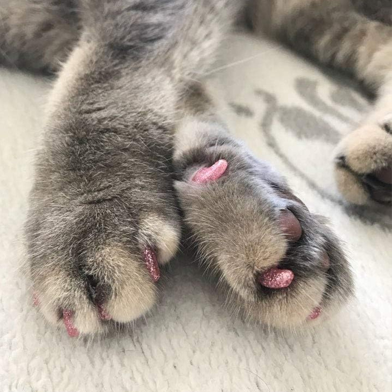 🐱Καπάκια νυχιών κατοικίδιων για σκύλους και γάτες με κόλλα