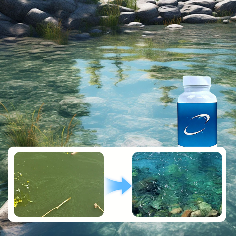 💧Ταμπλέτες με φυσαλίδες για τον καθαρισμό του νερού του ενυδρείου και της λίμνης🔥