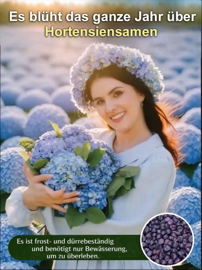 Hortensiensamen für Balkon und Garten, ganzjährig aussäbar