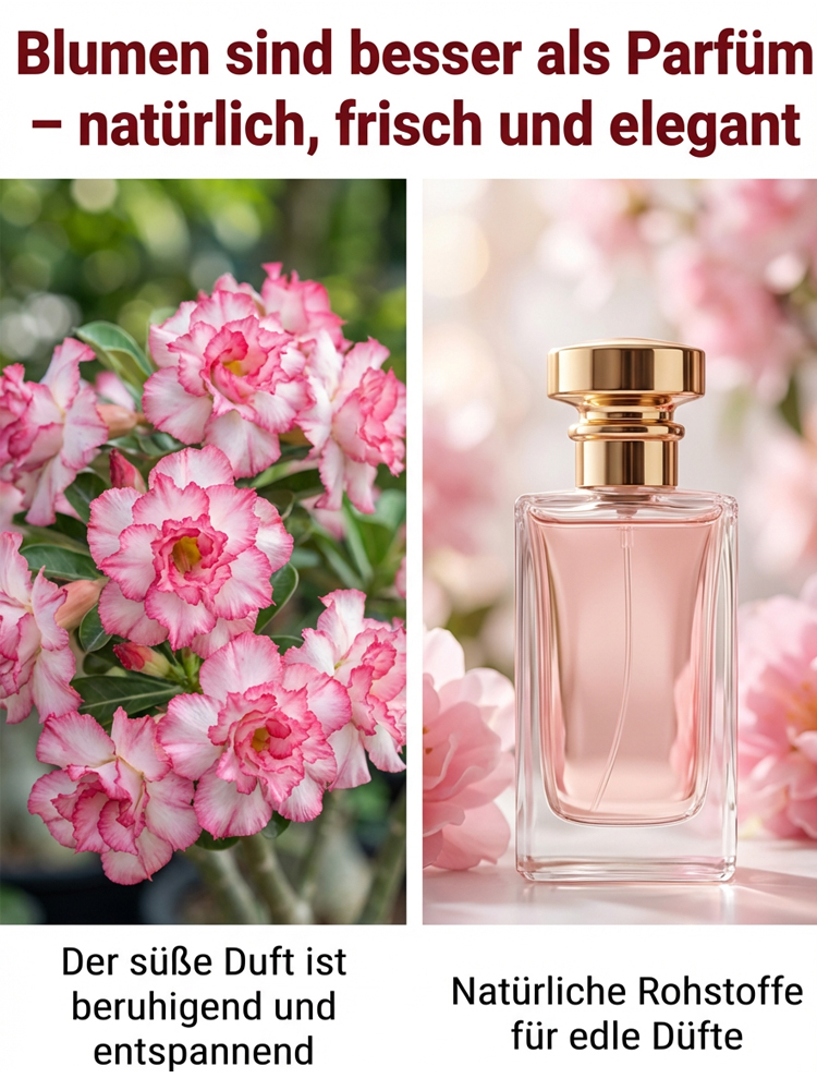 Gefüllte Wüstenrose