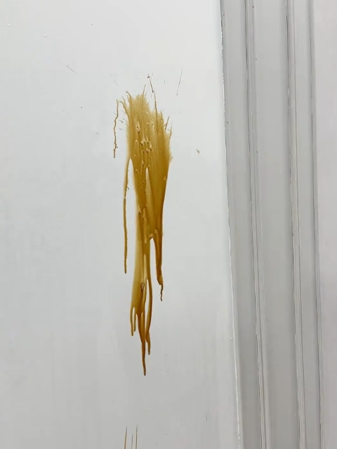 Bio-basierte Nano-Selbstreinigende Formaldehydfreie Latex-Farbe