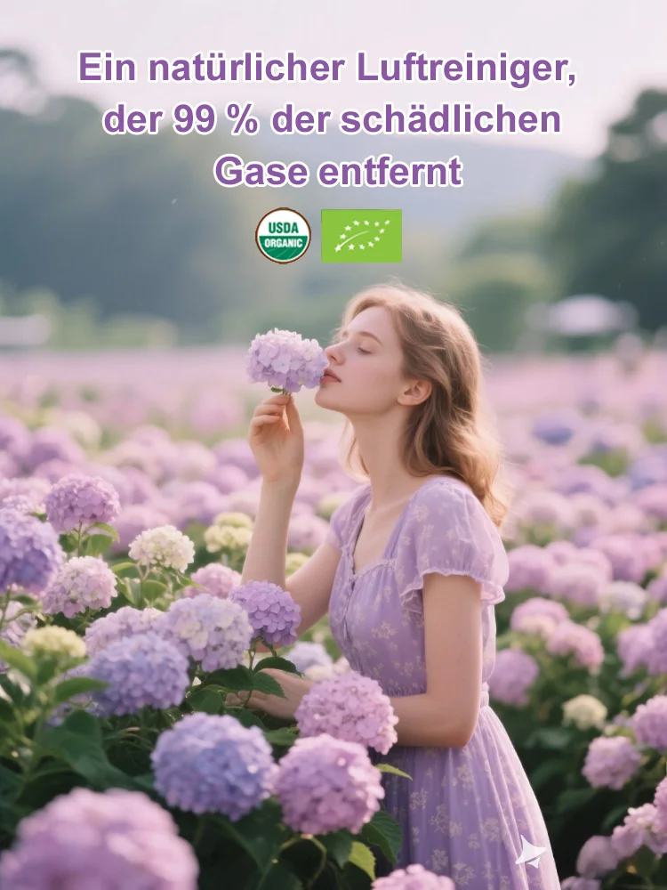 【Empfohlen vom Deutschen Gartenbauverban】Endless Summer® Hortensien-Pflanzen​💗Schafft Ihren eigenen "Monet-Garten