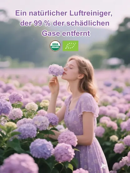 【Empfohlen vom Deutschen Gartenbauverban】Endless Summer® Hortensien-Pflanzen​💗Schafft Ihren eigenen "Monet-Garten