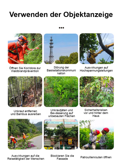 【Starke Arzneimittelwirkung】Cyclozinon-Herbizid 🔥Keine Bodenverschmutzung, keine Schäden an den Pflanzen