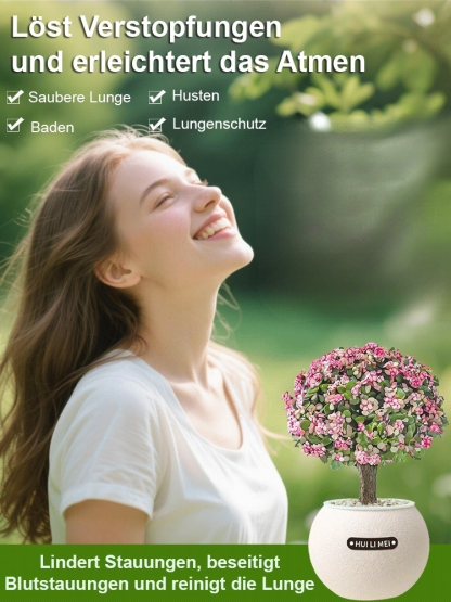 【9 Pflanzen zur Auswahl】Wassersparende Topfpflanzen✅Dekoriert Ihr Zuhause, entspannt die Augen, reinigt die Luft