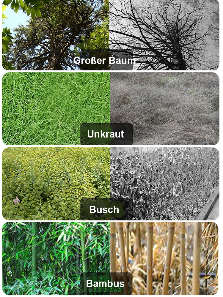 【Starke Arzneimittelwirkung】Cyclozinon-Herbizid 🔥Keine Bodenverschmutzung, keine Schäden an den Pflanzen