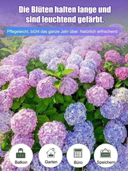 【Empfohlen vom Deutschen Gartenbauverban】Endless Summer® Hortensien-Pflanzen​💗Schafft Ihren eigenen "Monet-Garten