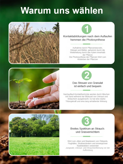 【Starke Arzneimittelwirkung】Cyclozinon-Herbizid 🔥Keine Bodenverschmutzung, keine Schäden an den Pflanzen