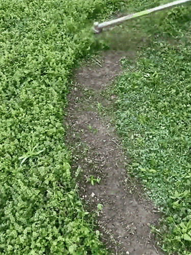 [10 Jahre Garantie] Leistungsstarker, ultraleichter Rasenmäher 🔥 Schneidet 10 cm dicke Äste in 2 Sekunden