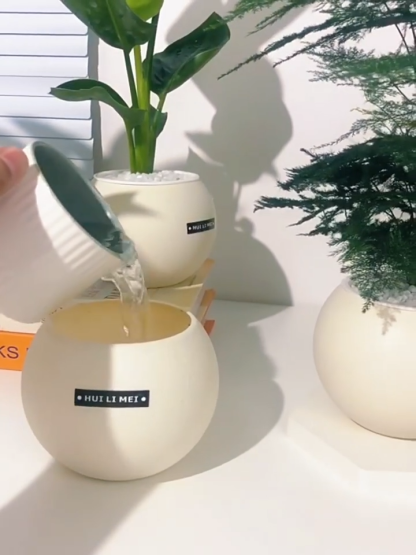 【9 Pflanzen zur Auswahl】Wassersparende Topfpflanzen✅Dekoriert Ihr Zuhause, entspannt die Augen, reinigt die Luft