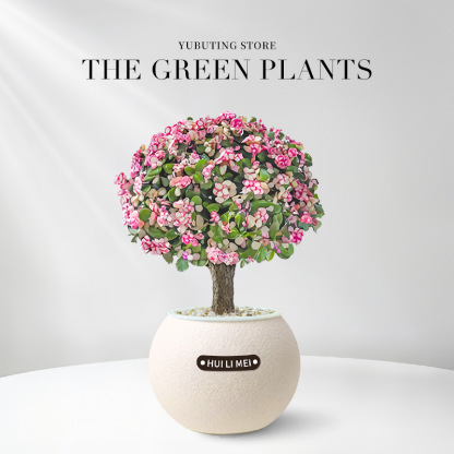 【9 Pflanzen zur Auswahl】Wassersparende Topfpflanzen✅Dekoriert Ihr Zuhause, entspannt die Augen, reinigt die Luft