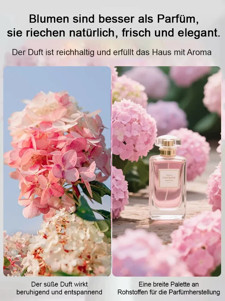 【Empfohlen vom Deutschen Gartenbauverban】Endless Summer® Hortensien-Pflanzen​💗Schafft Ihren eigenen "Monet-Garten