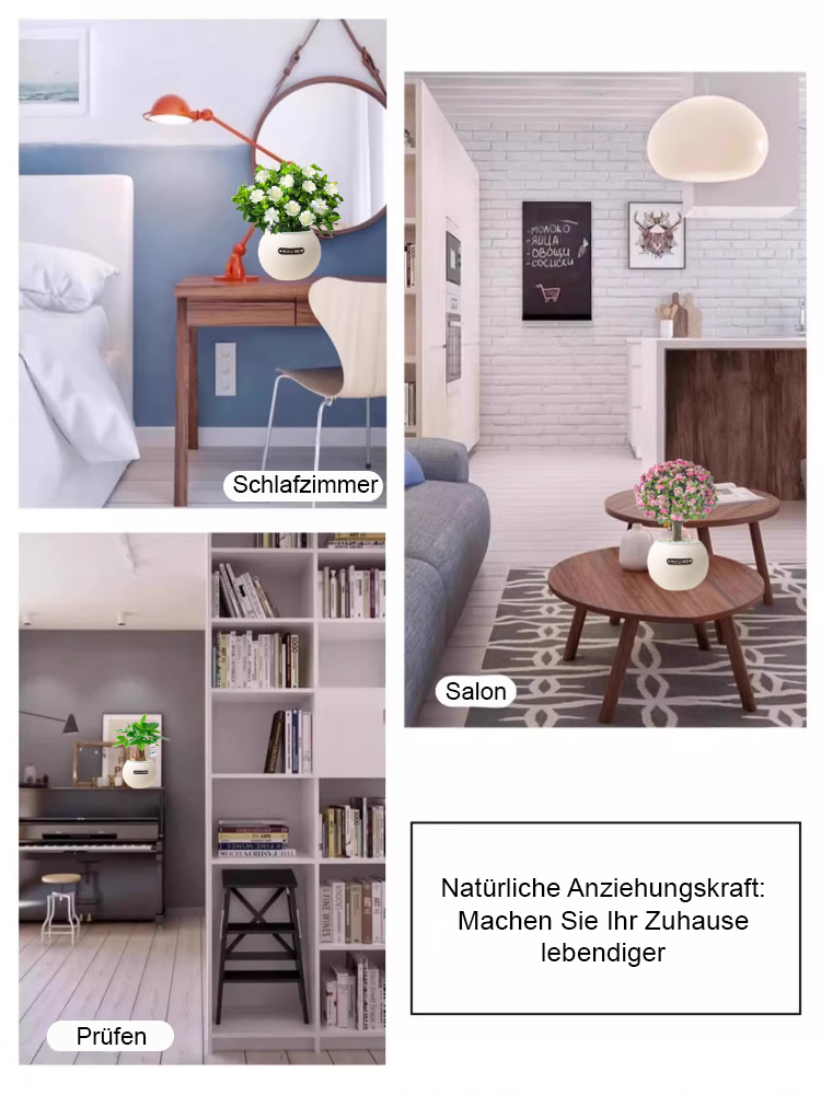 【9 Pflanzen zur Auswahl】Wassersparende Topfpflanzen✅Dekoriert Ihr Zuhause, entspannt die Augen, reinigt die Luft