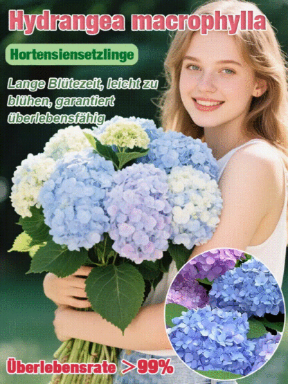 【Empfohlen vom Deutschen Gartenbauverban】Endless Summer® Hortensien-Pflanzen​💗Schafft Ihren eigenen "Monet-Garten