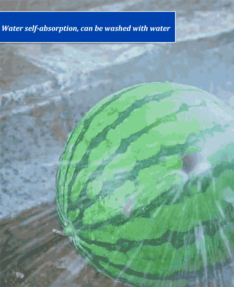 Car Washing Spray Gun