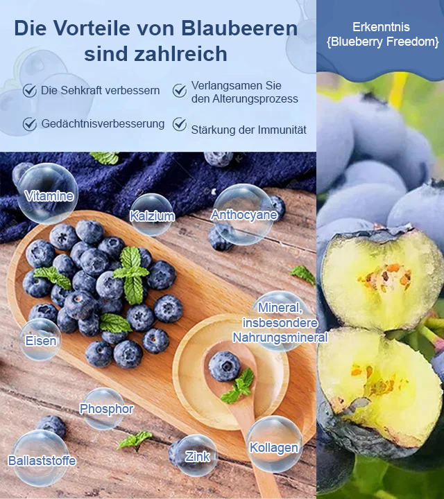 【Wo es Erde gibt, gibt es auch Früchte.】Heidelbeere Obstbaum Sämling