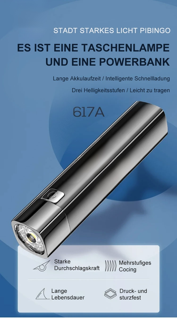 Rechargeable Torch