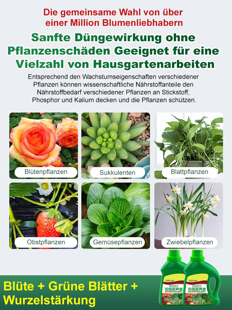 Nährlösung für Grünpflanzen zu Hause