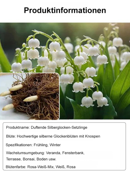 【2 Farben zur Auswahl】Ganzjährig explodierende Blumenduftglockenknospen