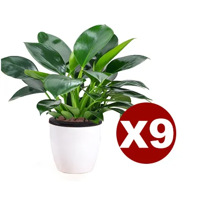 Nach Bestellmenge bestellen