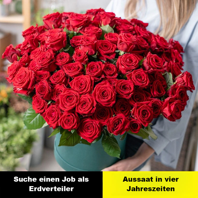 [Bringt Liebe und Glück] Bunte Rosensamen