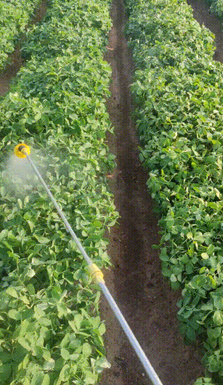 Honeycam-2025-05-23-15-21-48.gif