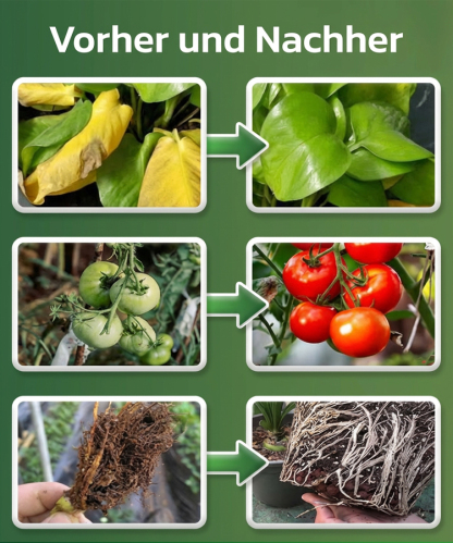 HFH-植物营养土壤活化剂