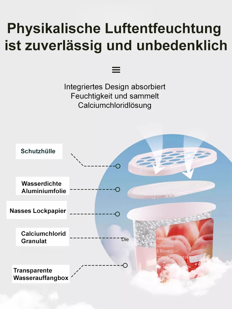 Luftentfeuchter Box Feuchtigkeitsabsorber Innenraum Anti-Schimmelmittel