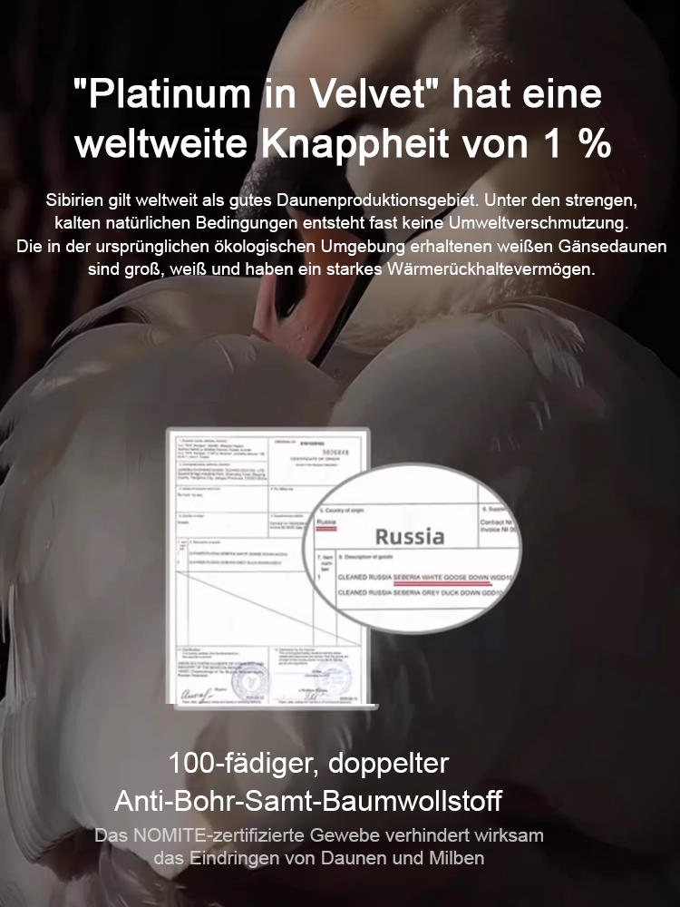 95% weiße Daunendecke